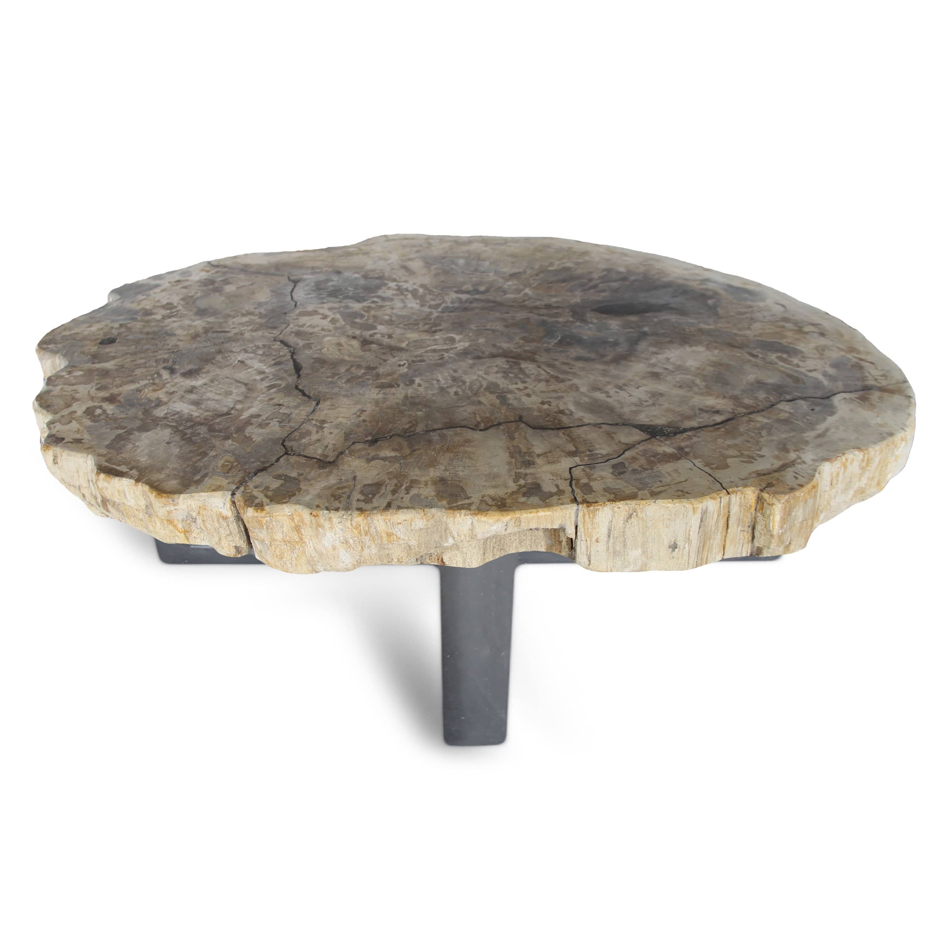 Kalifano Petrified Wood Petrified Wood Round Slab Coffee Table from Indonesia - 35" / 143 lbs PWT5200.004