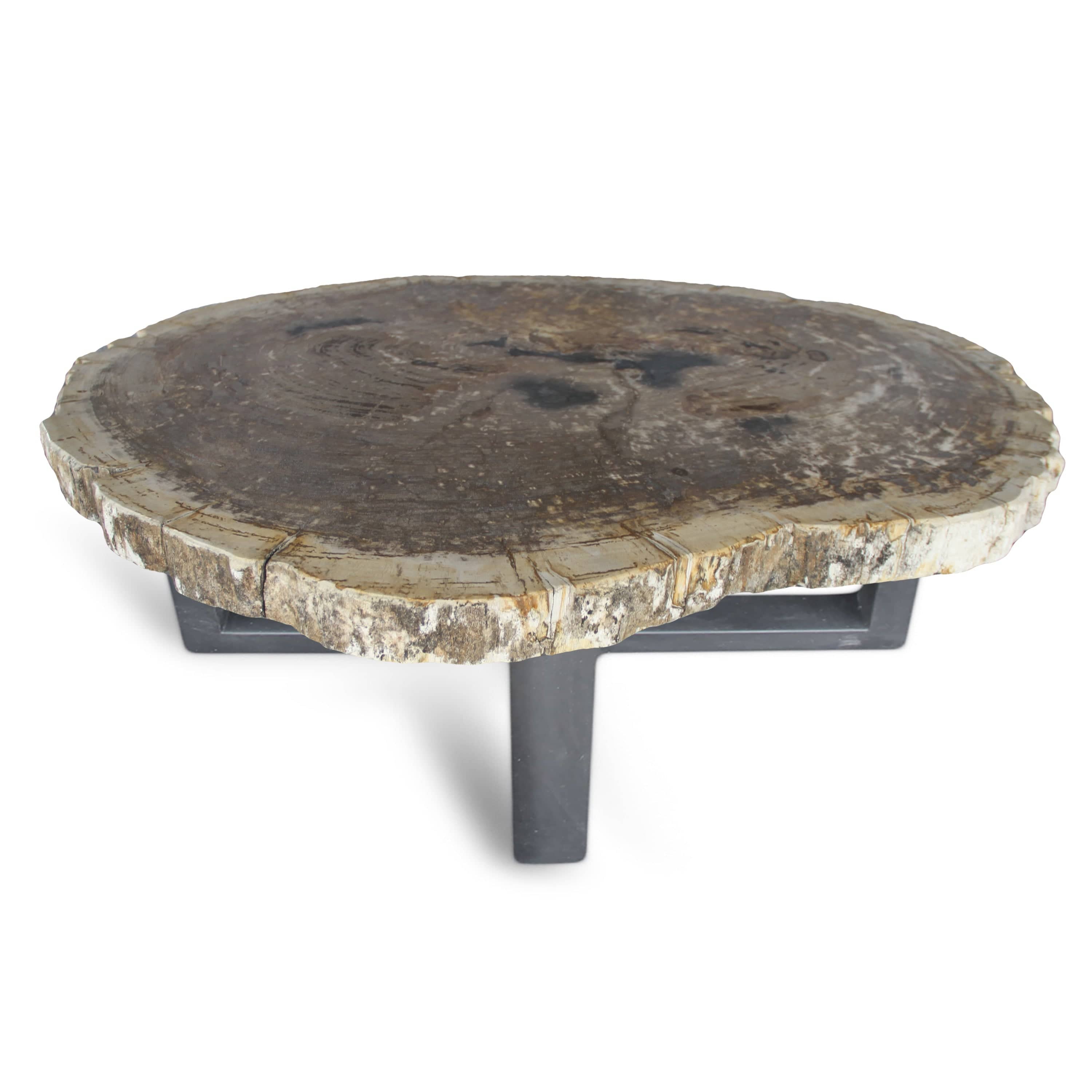 Kalifano Petrified Wood Petrified Wood Round Slab Coffee Table from Indonesia - 36" / 141 lbs PWT5200.002