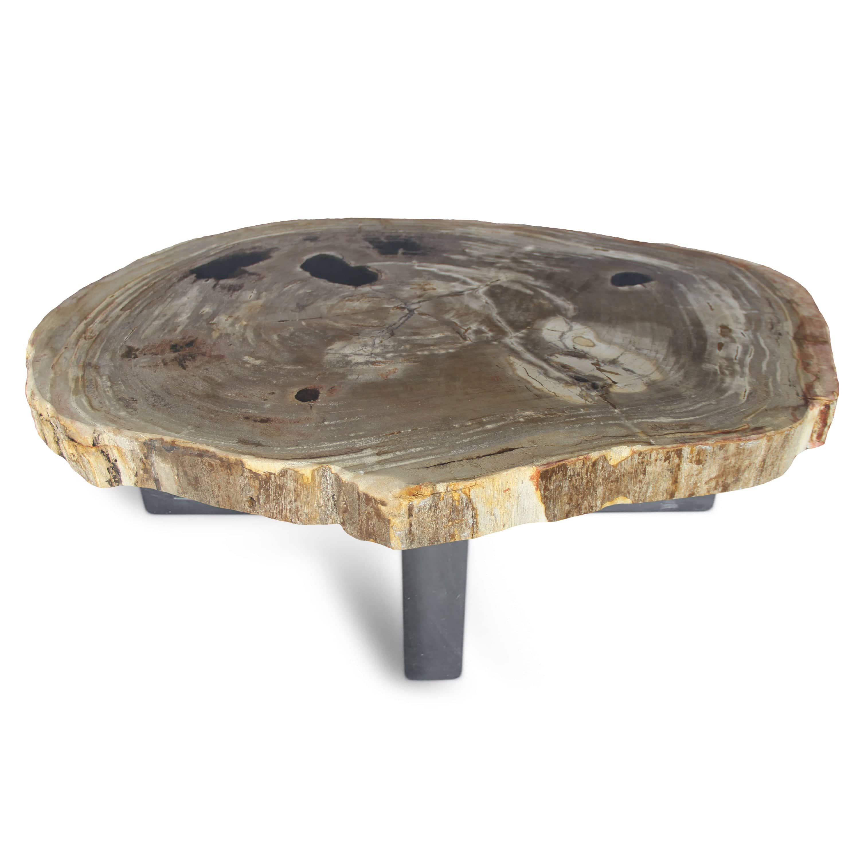 Kalifano Petrified Wood Petrified Wood Round Slab Coffee Table from Indonesia - 37" / 150 lbs PWT5600.004