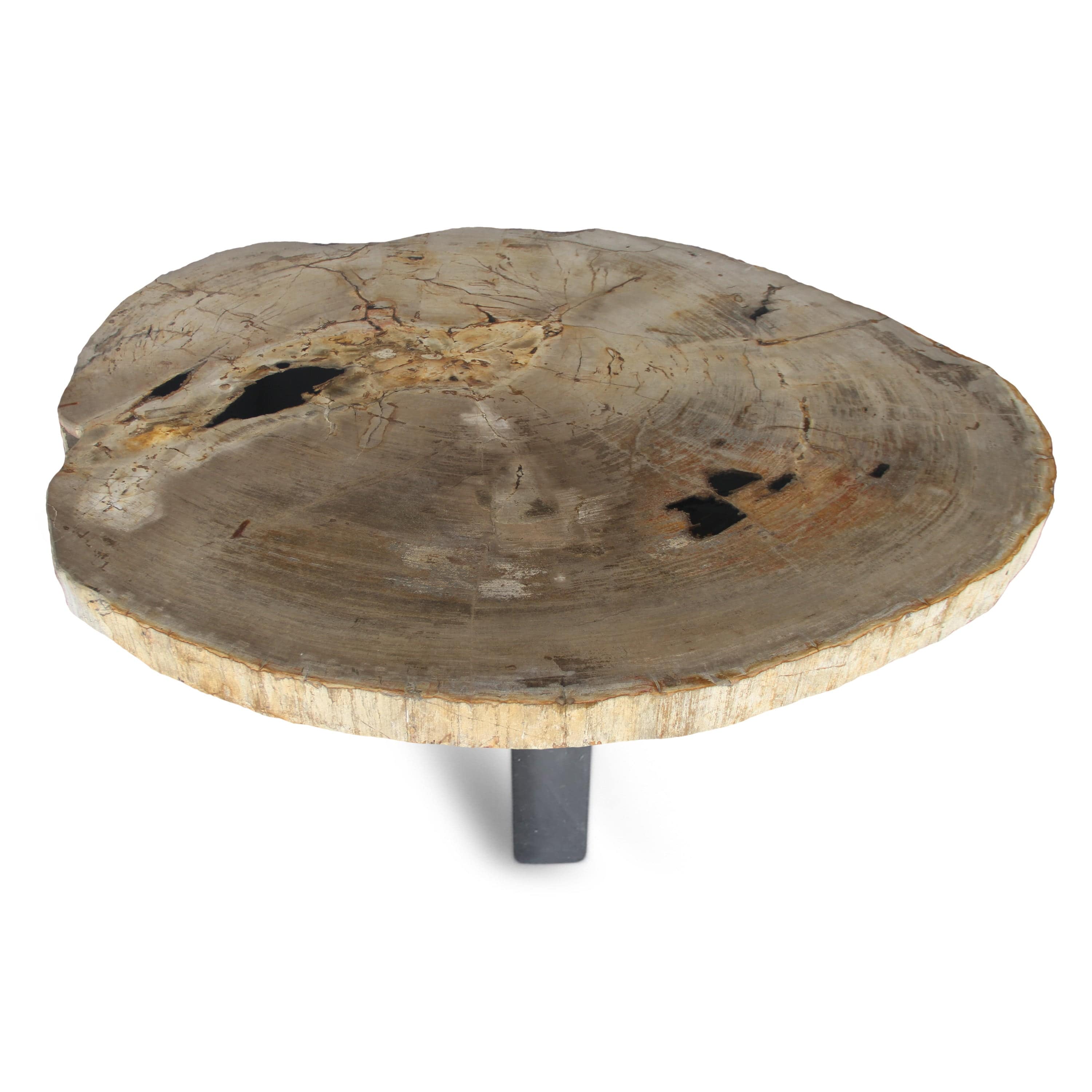 Kalifano Petrified Wood Petrified Wood Round Slab Coffee Table from Indonesia - 48" / 277 lbs PWT10200.003