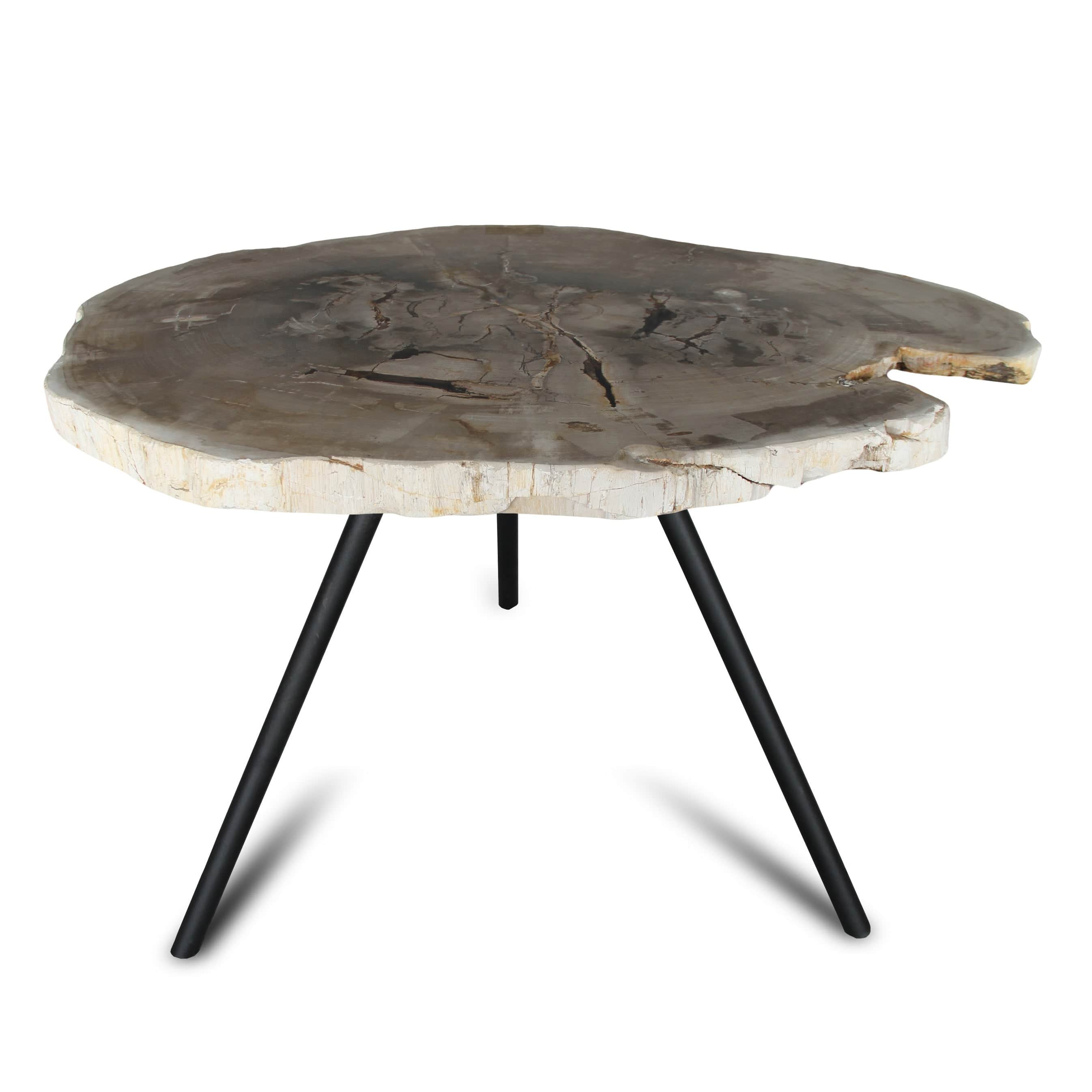 Kalifano Petrified Wood Petrified Wood Round Slice Side Table from Indonesia - 35" / 86 lbs PWT3200.002