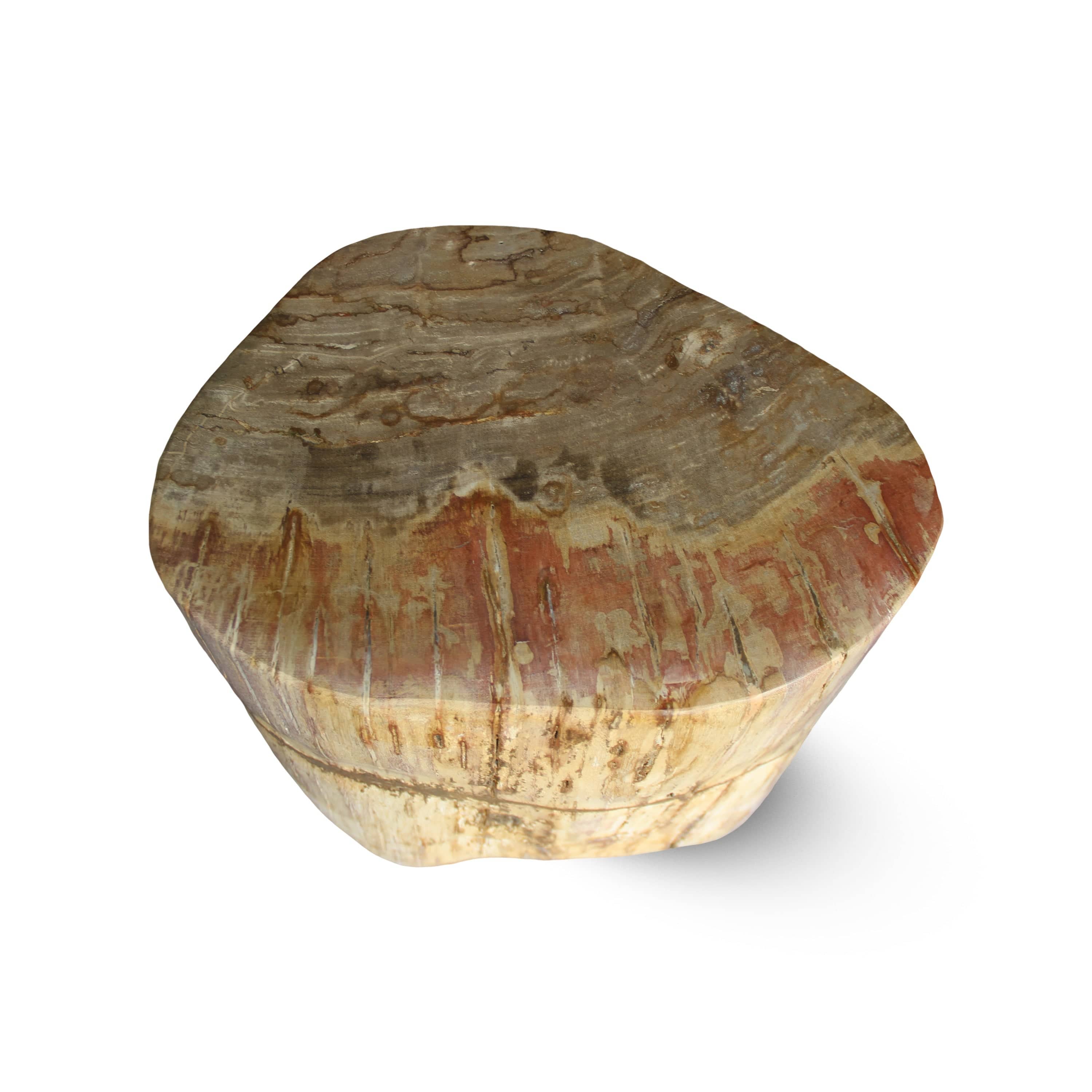 Kalifano Petrified Wood Petrified Wood Round Stump / Stool from Indonesia - 16" / 134 lbs PWS2600.005