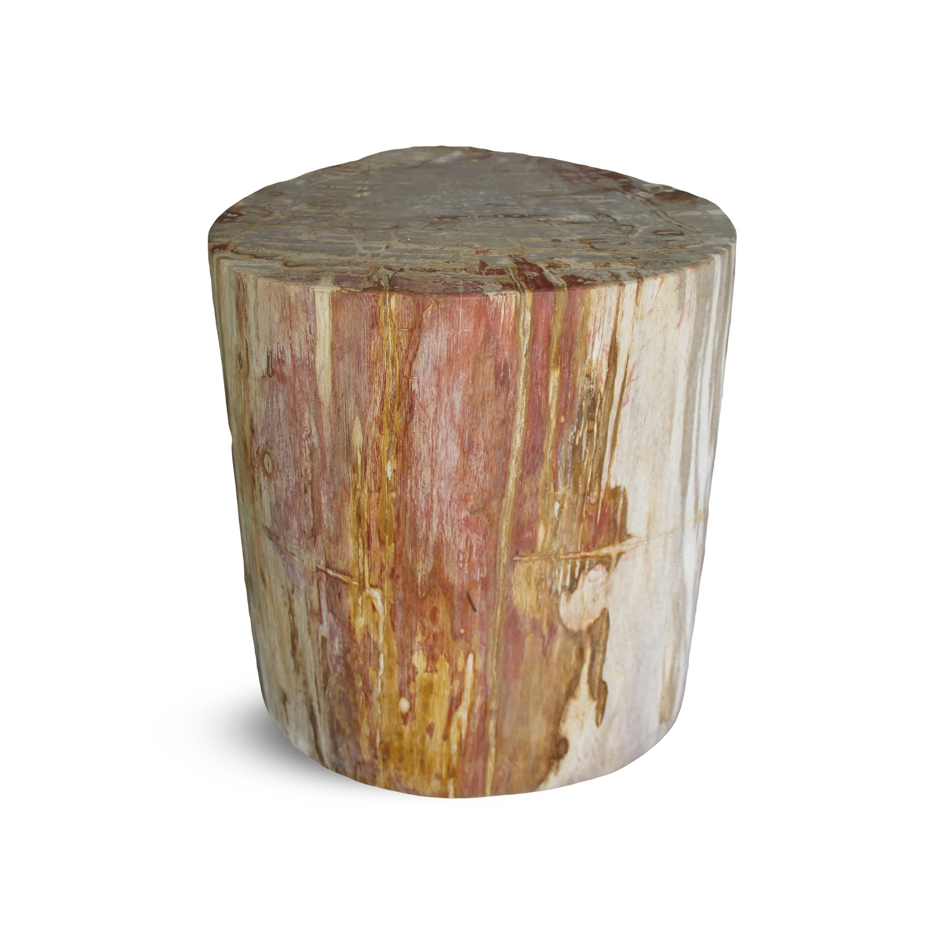 Kalifano Petrified Wood Petrified Wood Round Stump / Stool from Indonesia - 16" / 169 lbs PWS3200.005