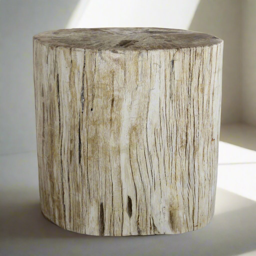 Kalifano Petrified Wood Petrified Wood Round Stump / Stool from Indonesia - 16" / 181 lbs PWS3300.003