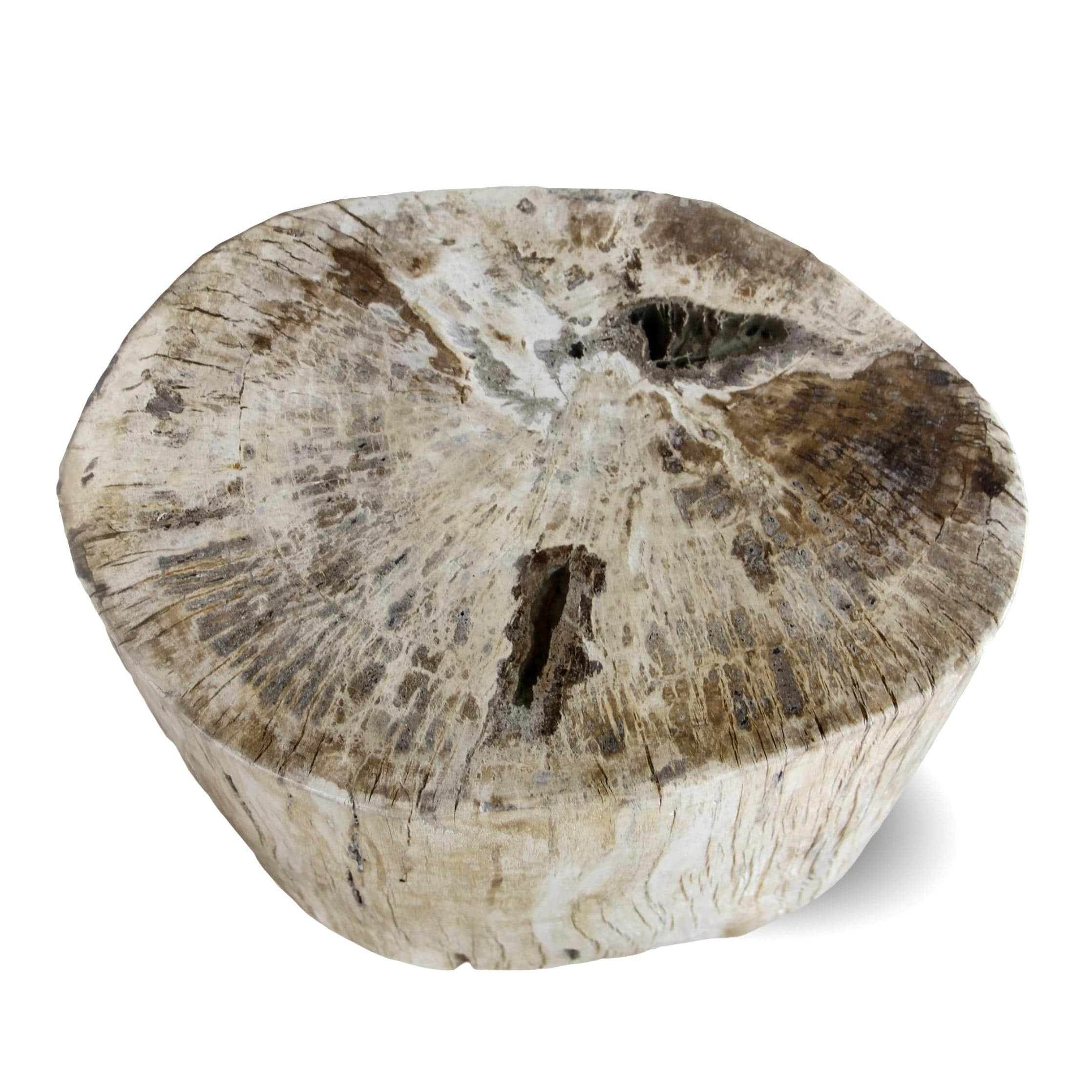 Kalifano Petrified Wood Petrified Wood Round Stump / Stool from Indonesia - 16" / 181 lbs PWS3300.003