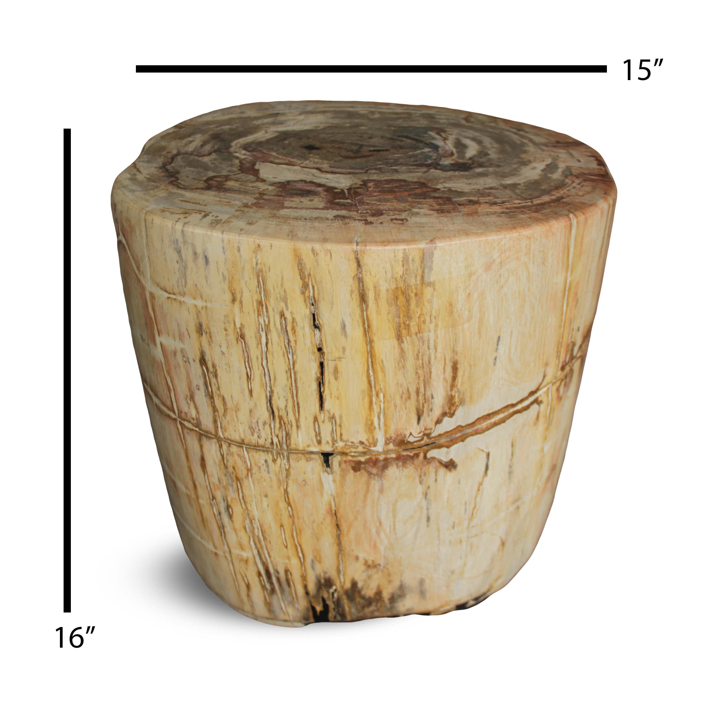 Kalifano Petrified Wood Petrified Wood Round Stump / Stool from Indonesia - 16" / 231 lbs PWS4200.004