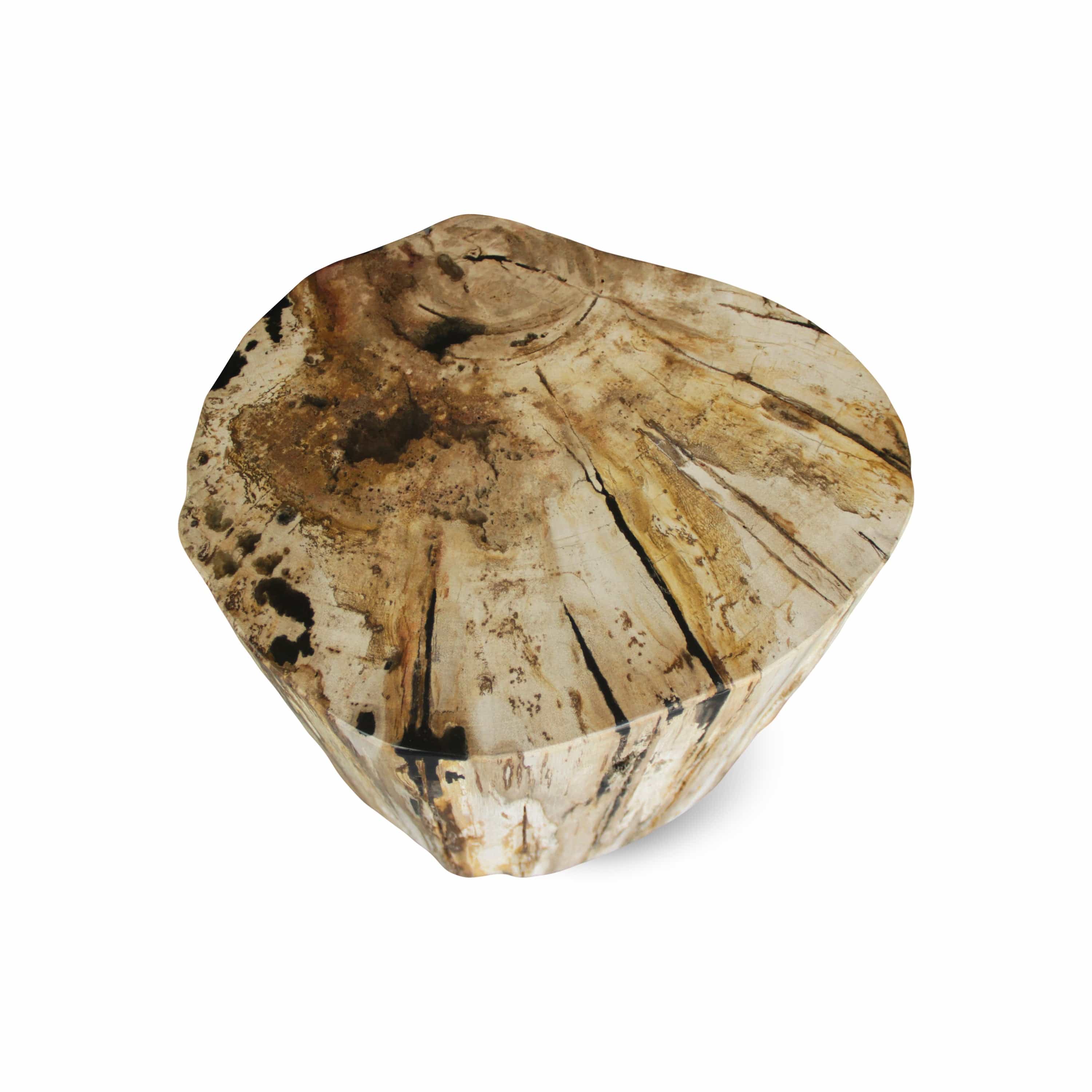 Kalifano Petrified Wood Petrified Wood Round Stump / Stool from Indonesia - 16" / 233 lbs PWS4400.010