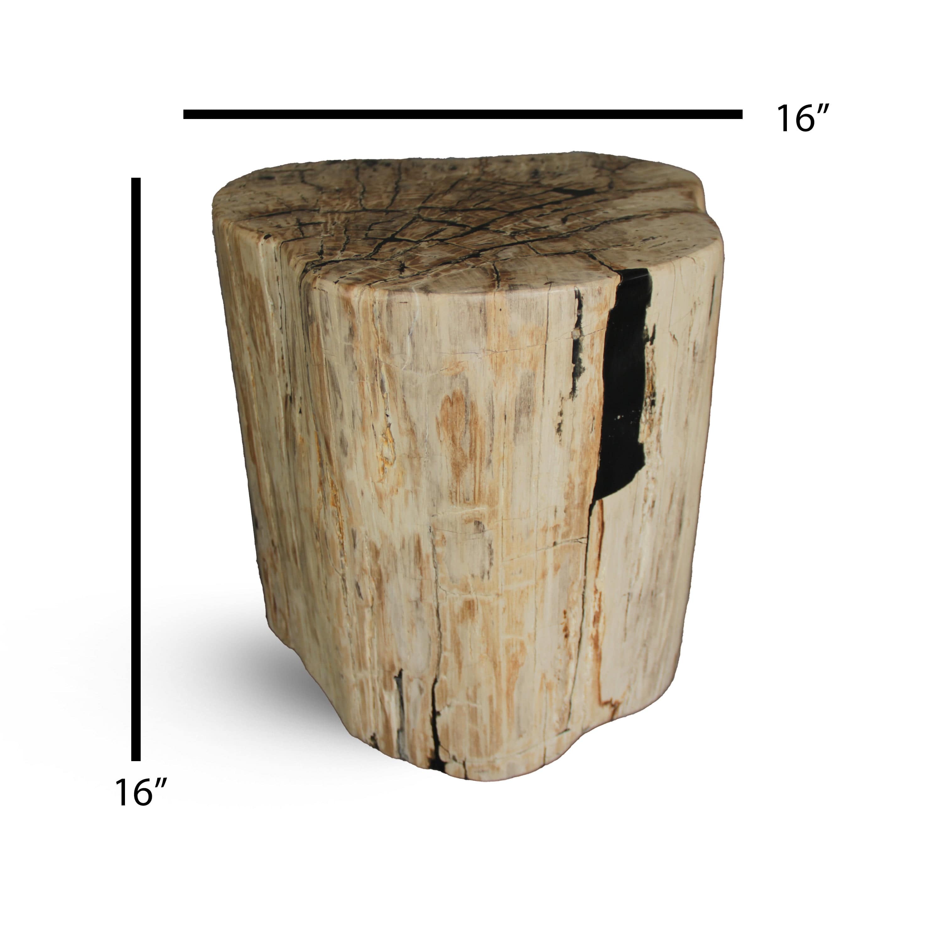 Kalifano Petrified Wood Petrified Wood Round Stump / Stool from Indonesia - 16" / 240 lbs PWS4400.007