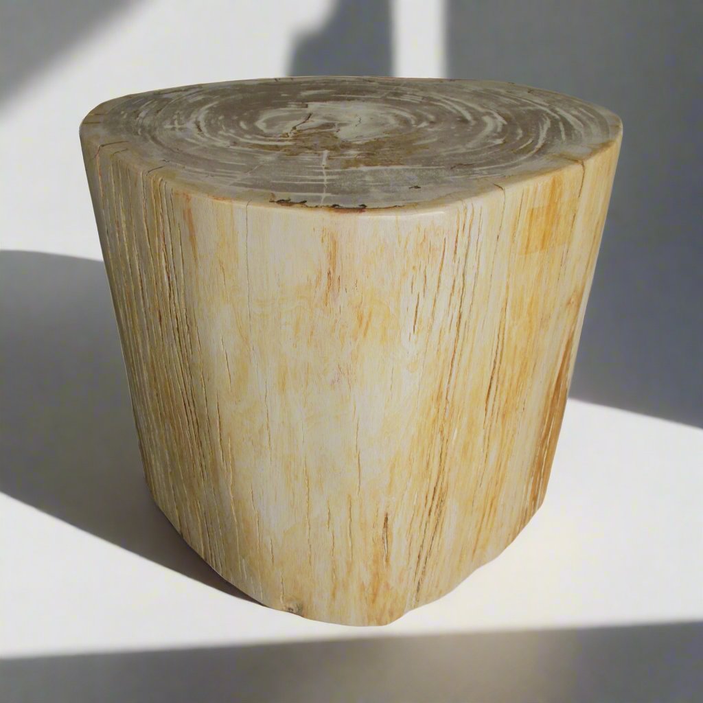 Kalifano Petrified Wood Petrified Wood Round Stump / Stool from Indonesia - 16" / 286 lbs PWS5200.005