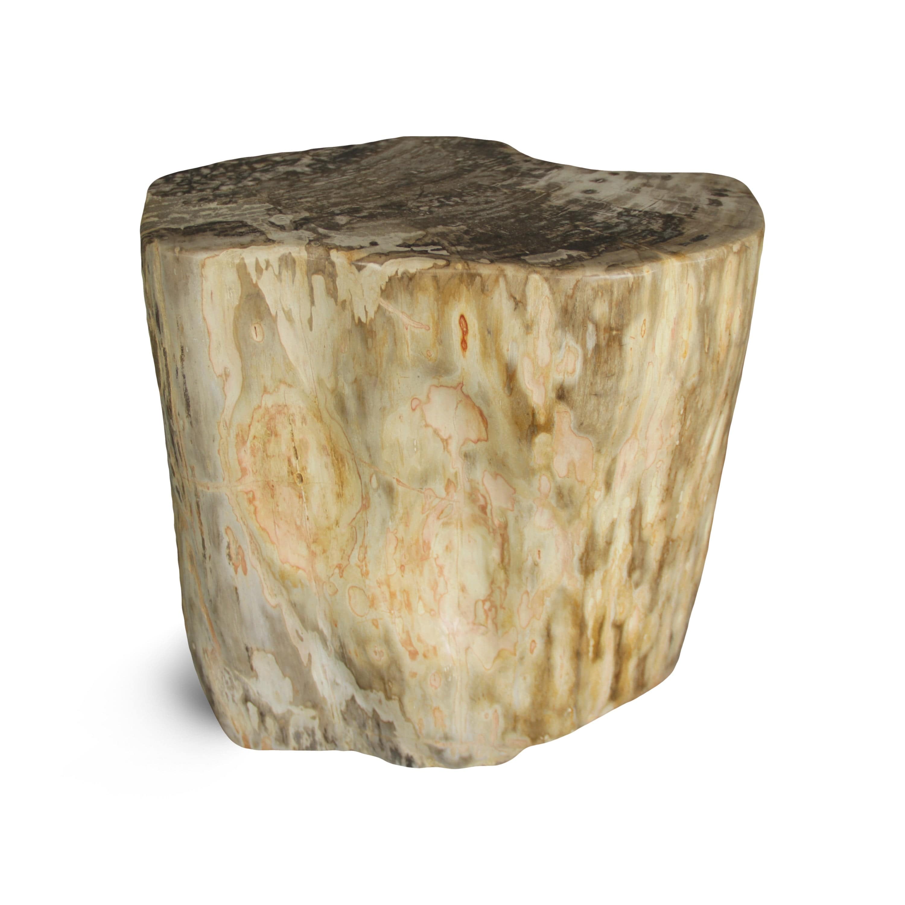 Kalifano Petrified Wood Petrified Wood Round Stump / Stool from Indonesia - 18" / 286 lbs PWS5200.003