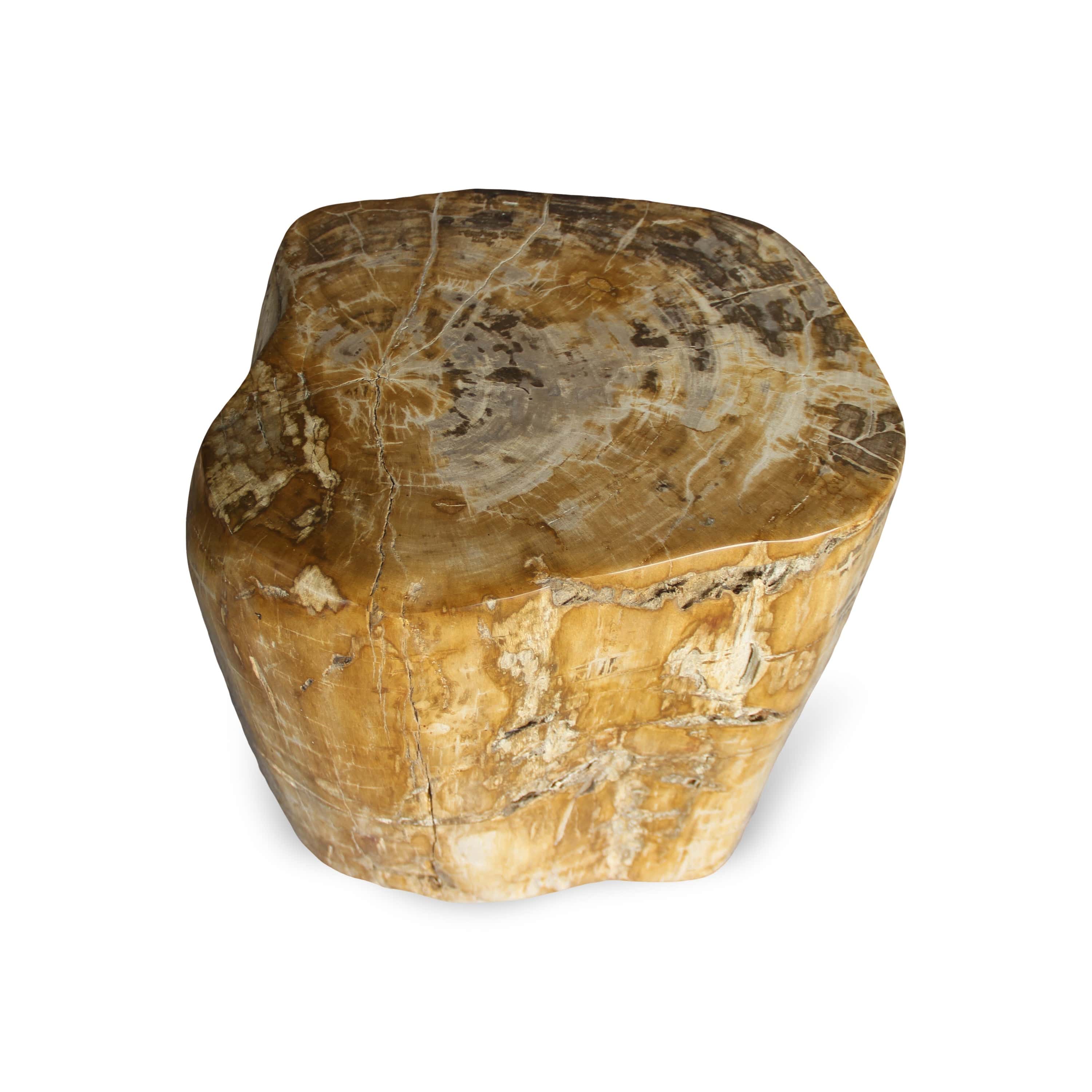 Kalifano Petrified Wood Petrified Wood Round Stump / Stool from Indonesia - 18" / 286 lbs PWS5200.004