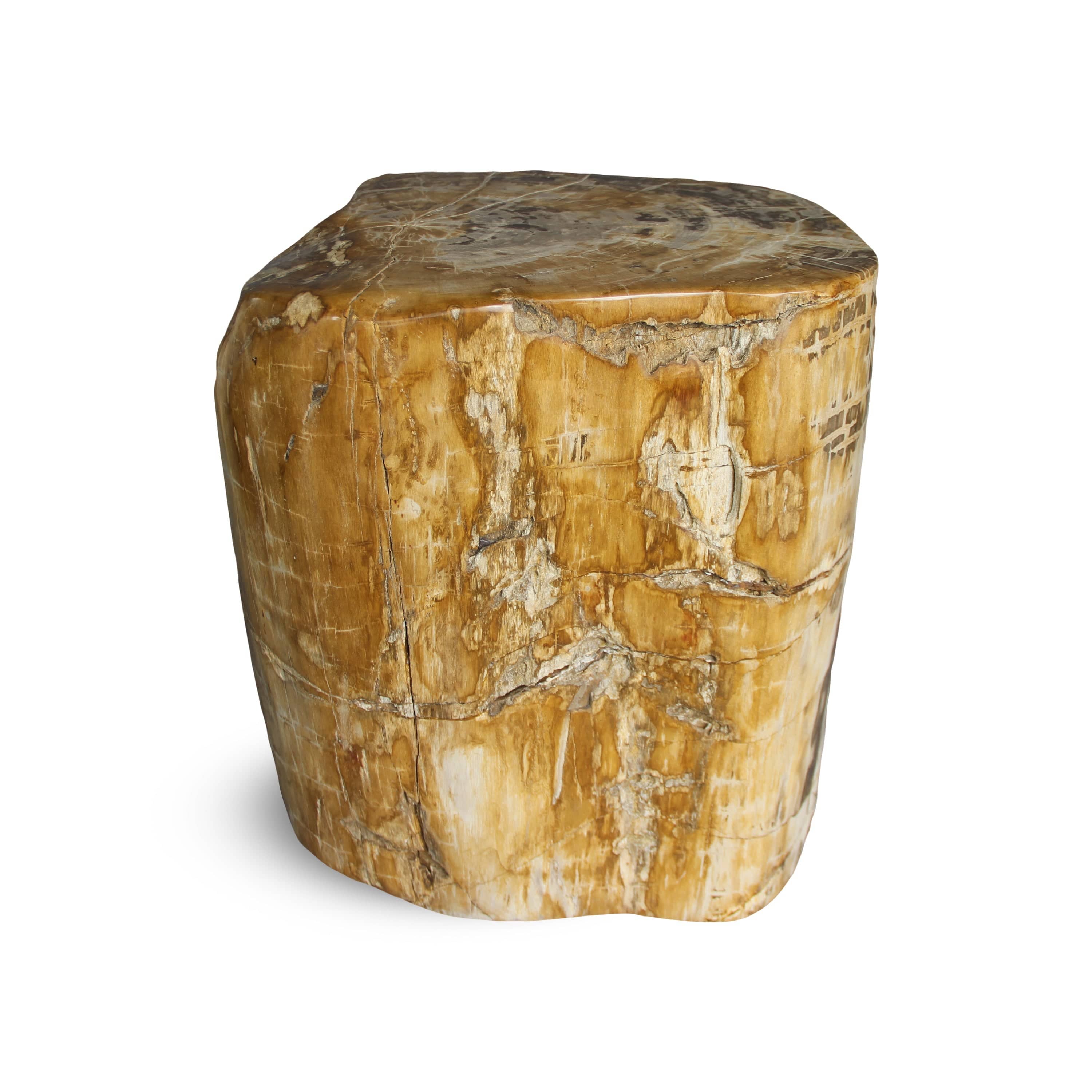 Kalifano Petrified Wood Petrified Wood Round Stump / Stool from Indonesia - 18" / 286 lbs PWS5200.004