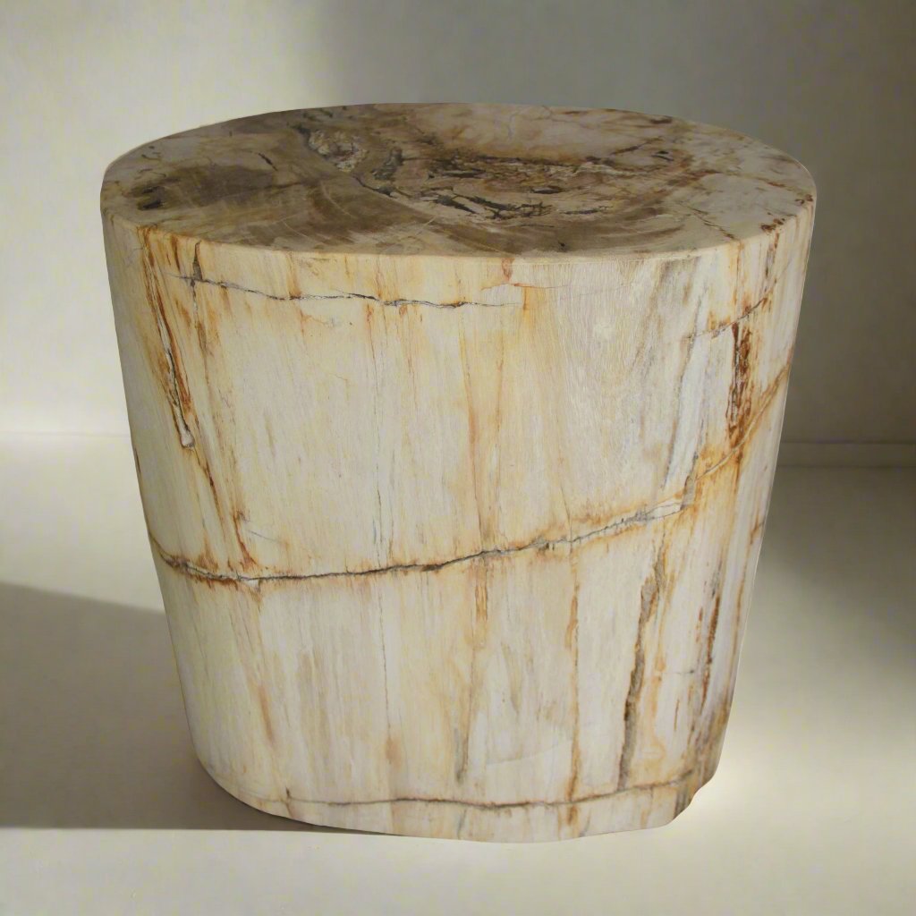 Kalifano Petrified Wood Petrified Wood Round Stump / Stool from Indonesia - 18" / 290 lbs PWS5400.003