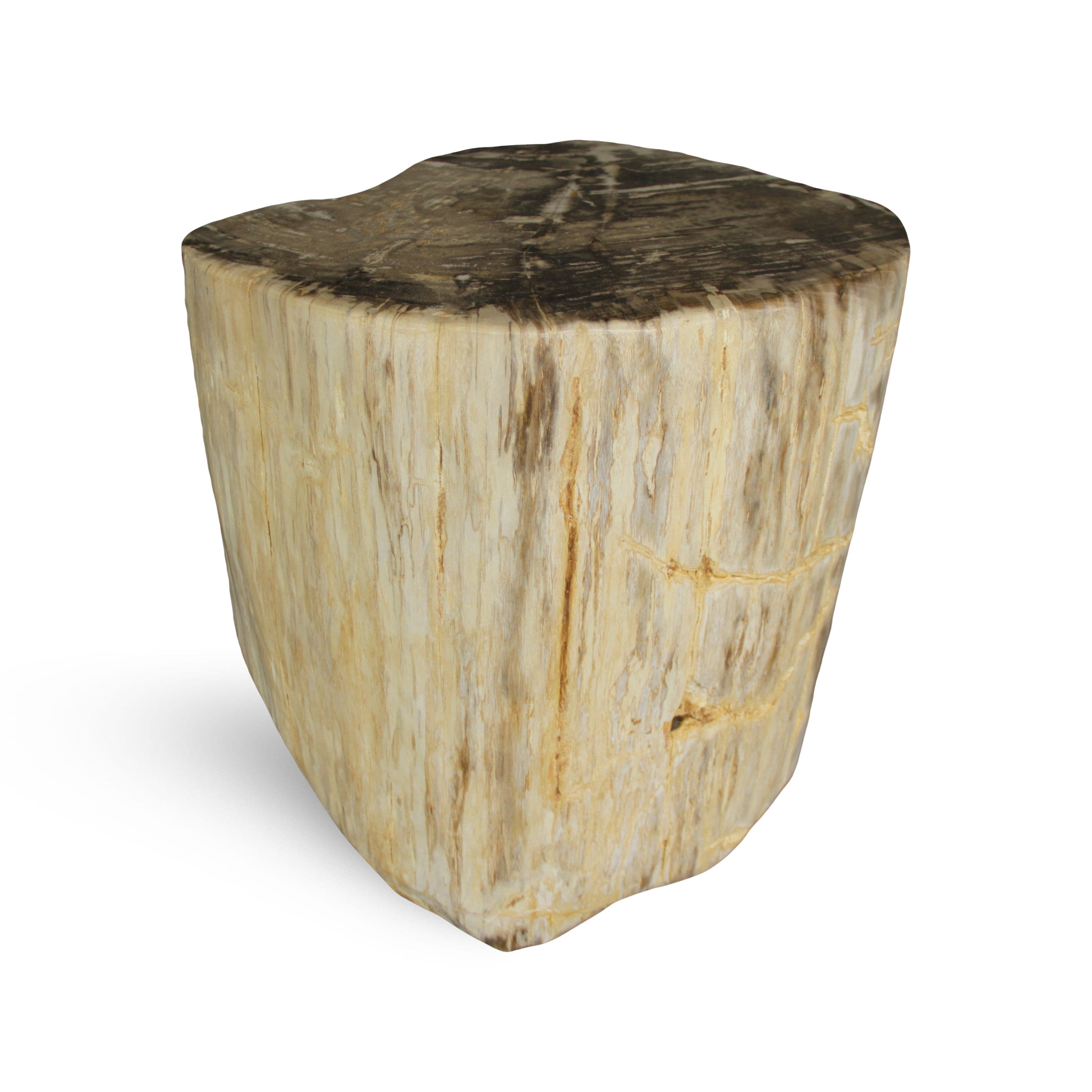 Kalifano Petrified Wood Petrified Wood Round Stump / Stool from Indonesia - 18" / 295 lbs PWS5400.002