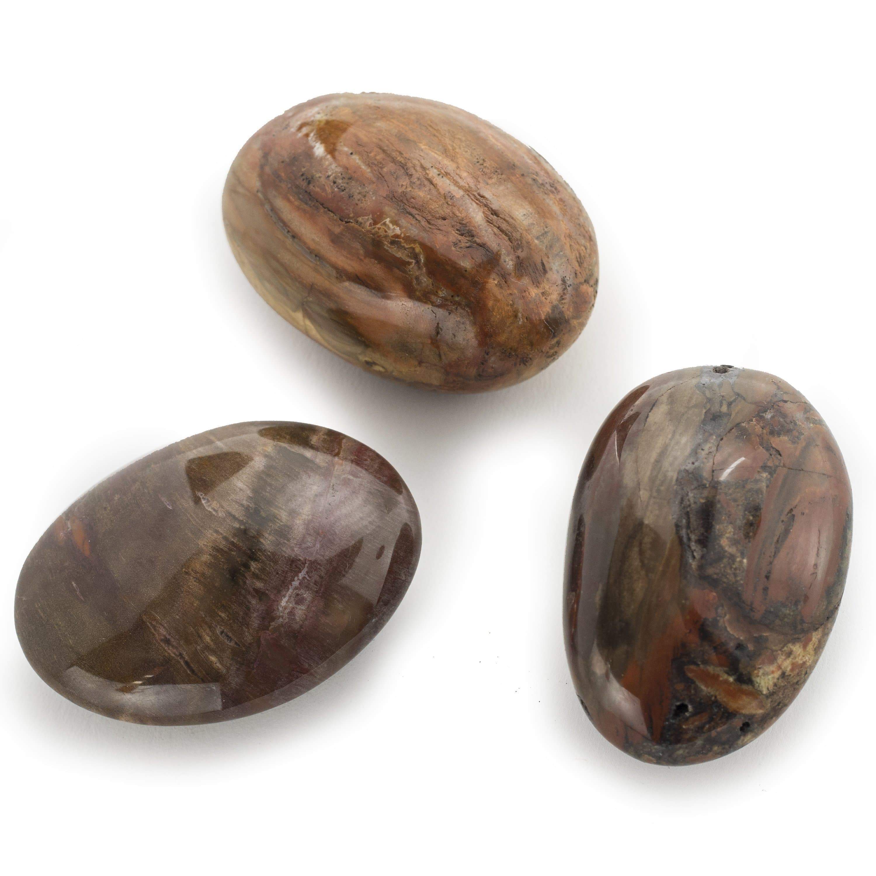 Kalifano Petrified Wood Petrified Wood Soap Healing Stone PW40