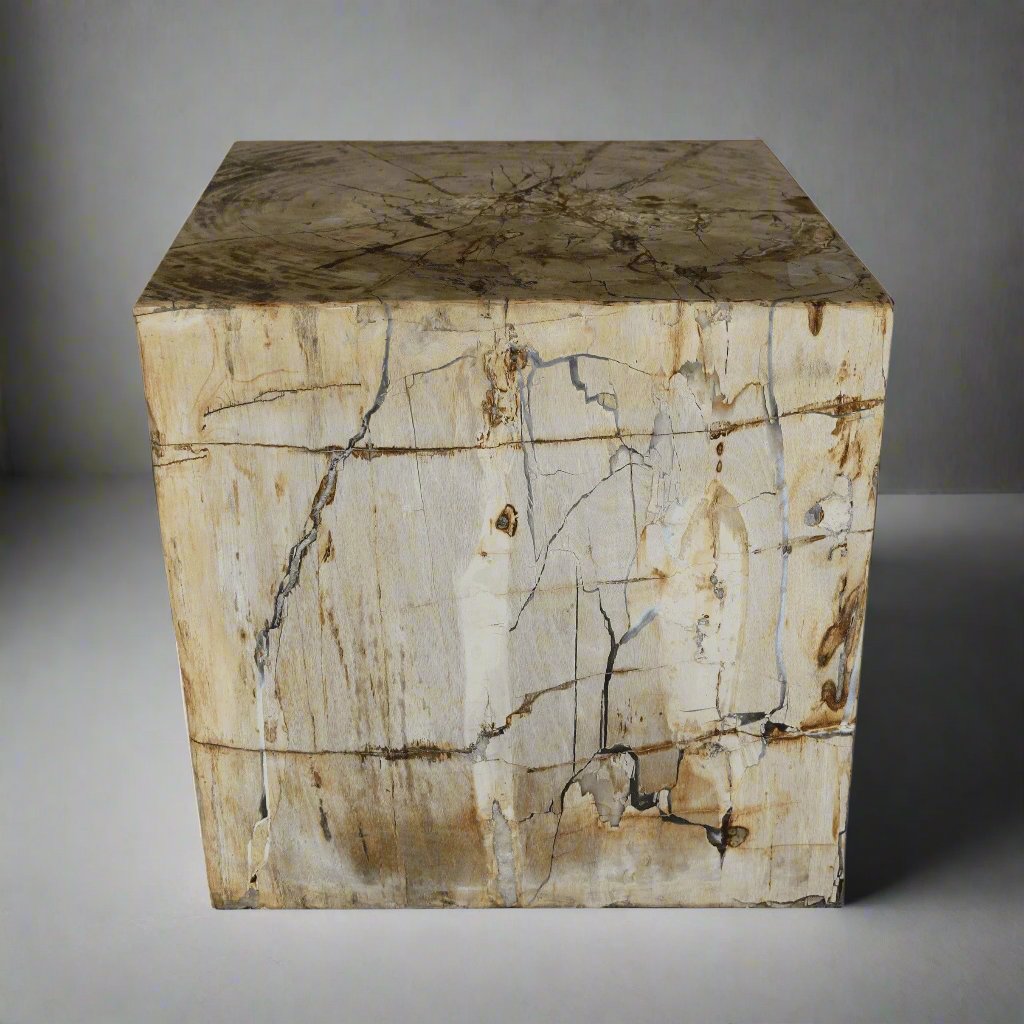 Kalifano Petrified Wood Petrified Wood Square Stump / Stool from Indonesia - 17" / 381 lbs PWSS10400.001