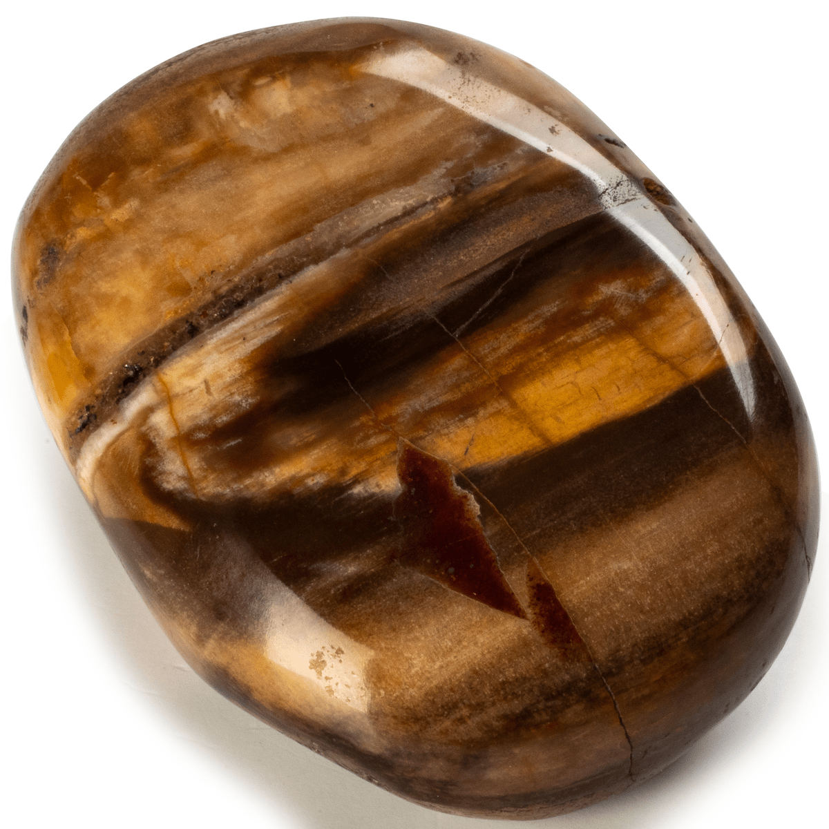 Kalifano Petrified Wood Petrified Wood Tumbled Stone PW30