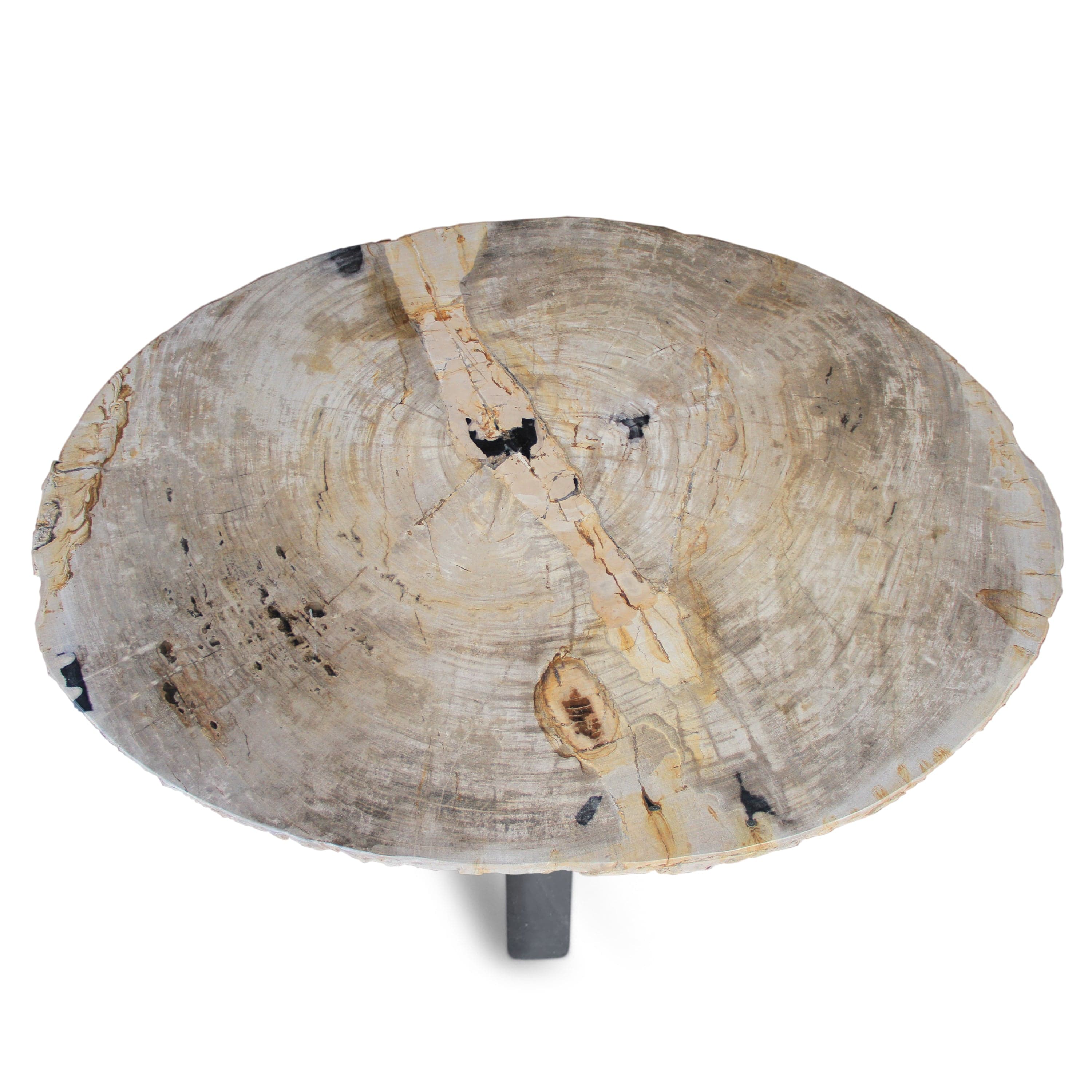 Kalifano Petrified Wood Polished Petrified Wood Coffee Table from Indonesia - 48" / 280 lbs PWT10160.002