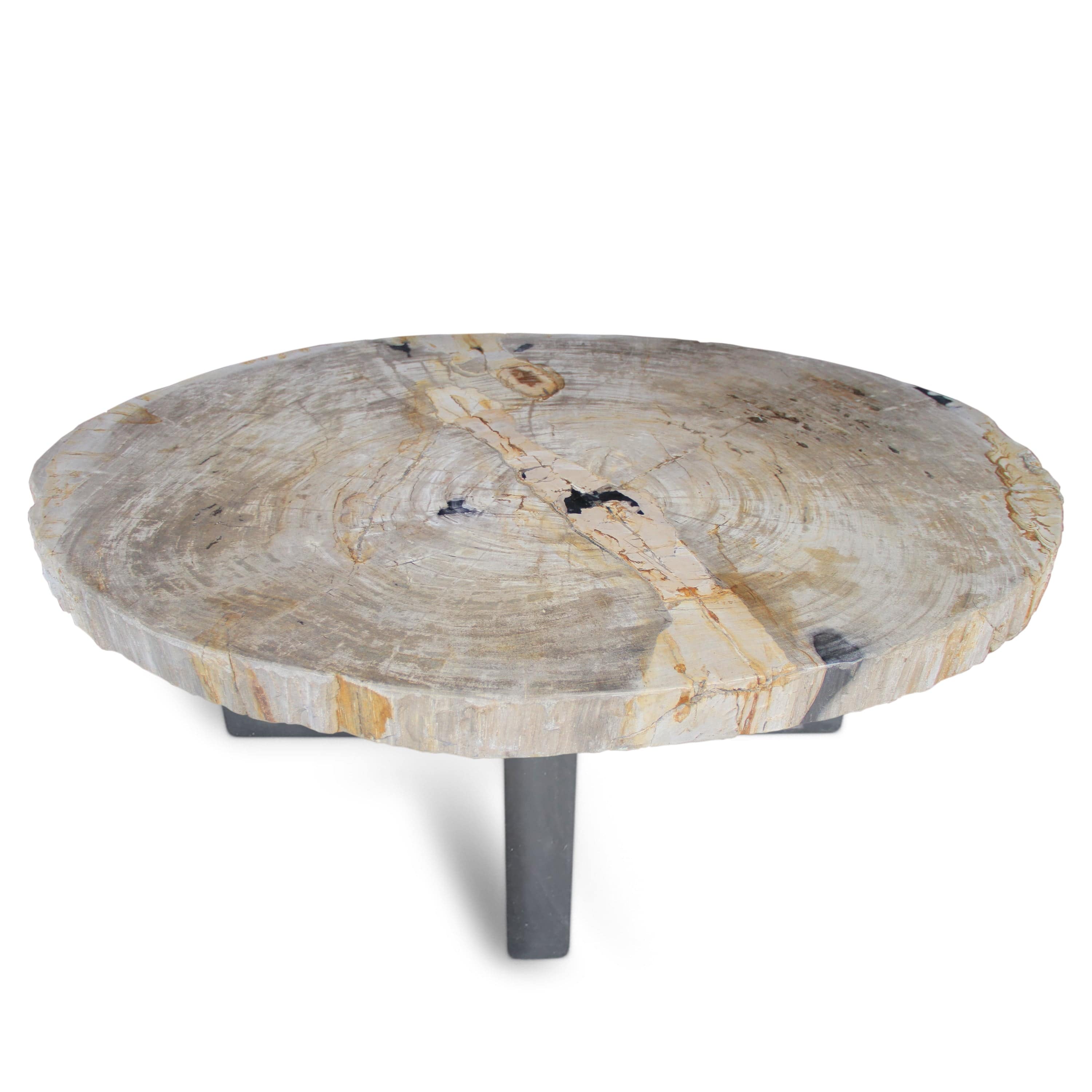 Kalifano Petrified Wood Polished Petrified Wood Coffee Table from Indonesia - 48" / 280 lbs PWT10160.002