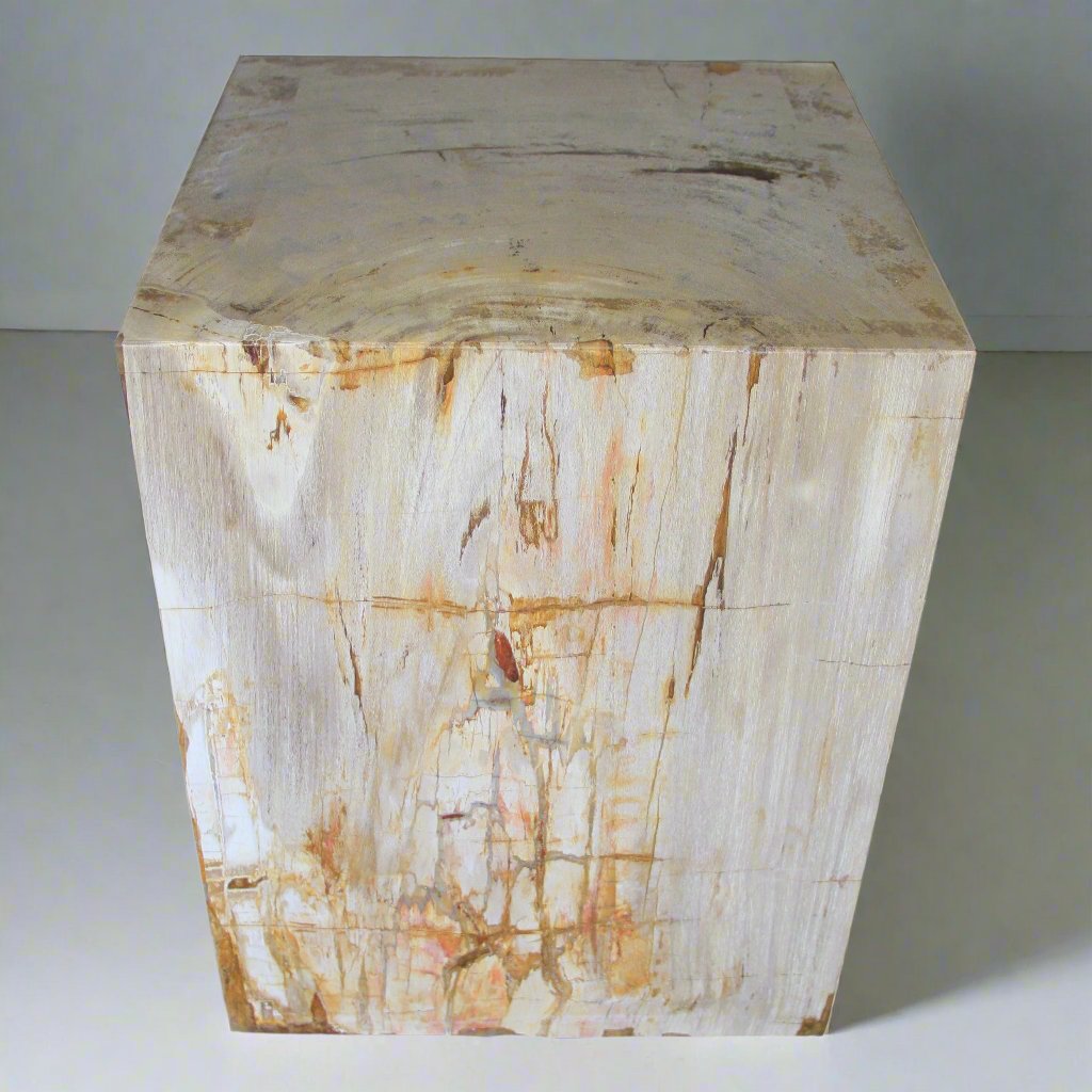 Kalifano Petrified Wood Polished Petrified Wood Square Stump from Indonesia - 18" / 309 lbs PWSS8400.001