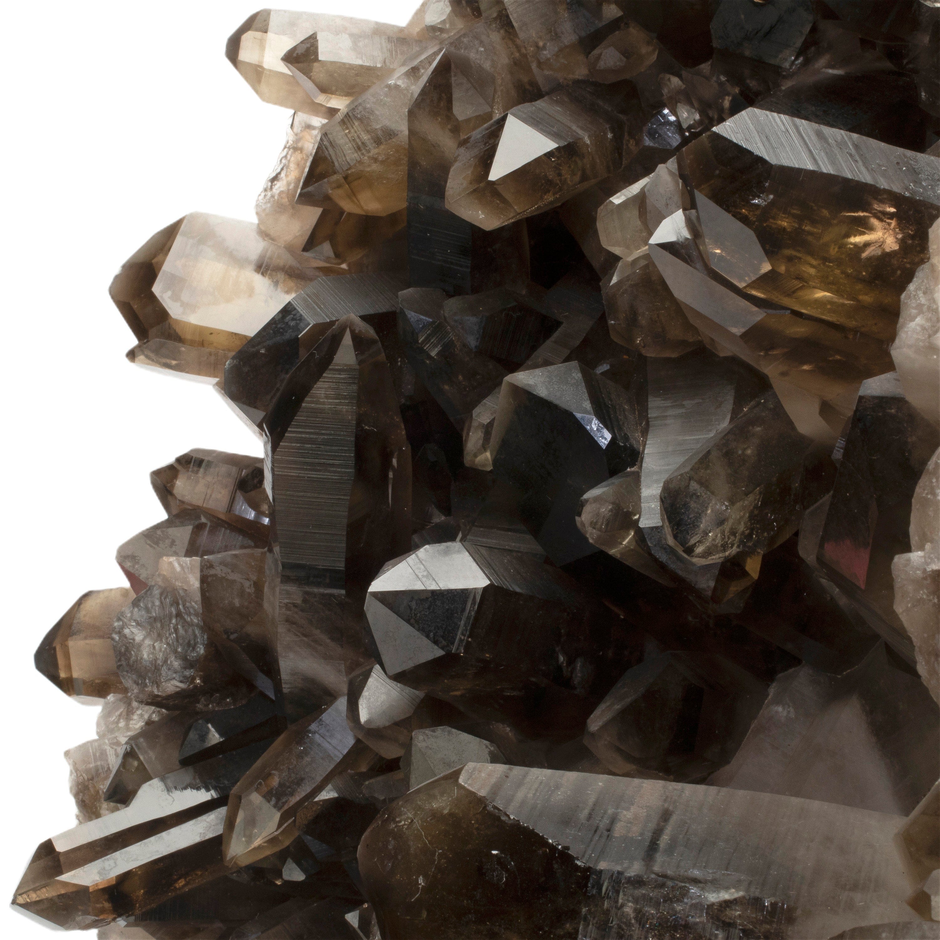 Kalifano Smoky Quartz Smoky Quartz Cluster from Brazil - 80 lbs / 29" SQ28000.001