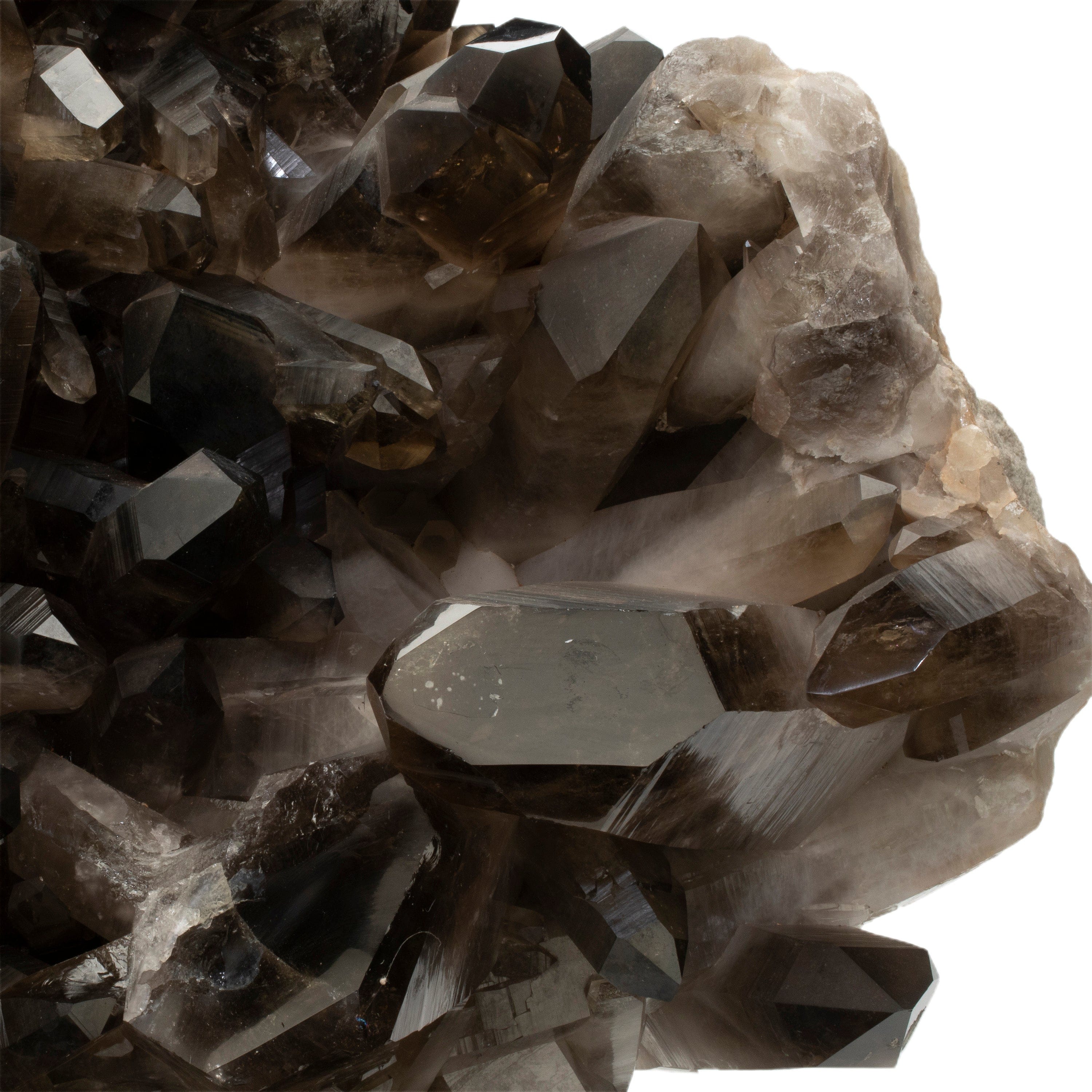 Kalifano Smoky Quartz Smoky Quartz Cluster from Brazil - 80 lbs / 29" SQ28000.001